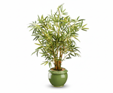 Artificial Bamboo Bonsai Tree - 2ft